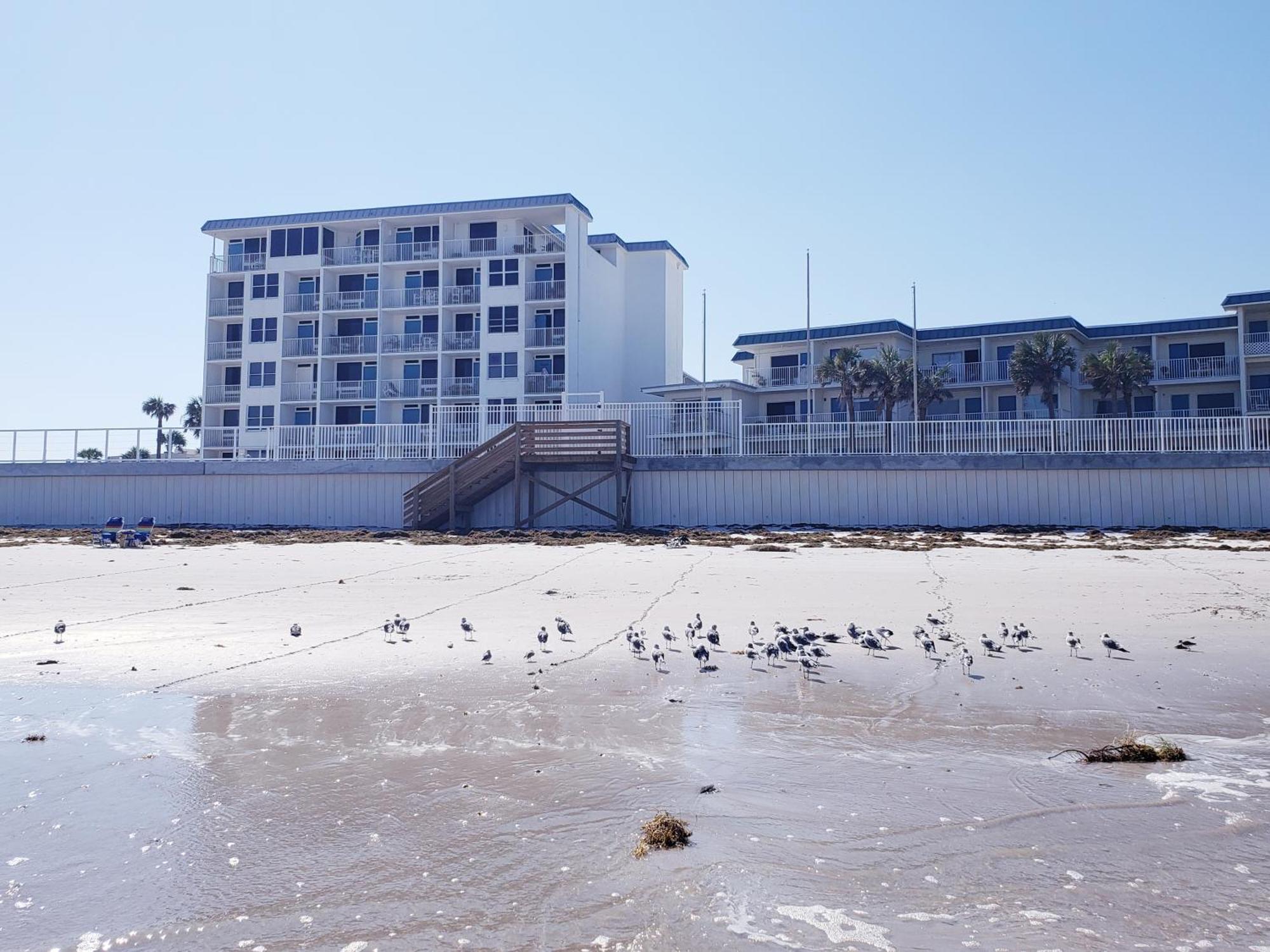 Beachside Bliss Ocean Views & Endless Fun Daytona Beach! Kültér fotó